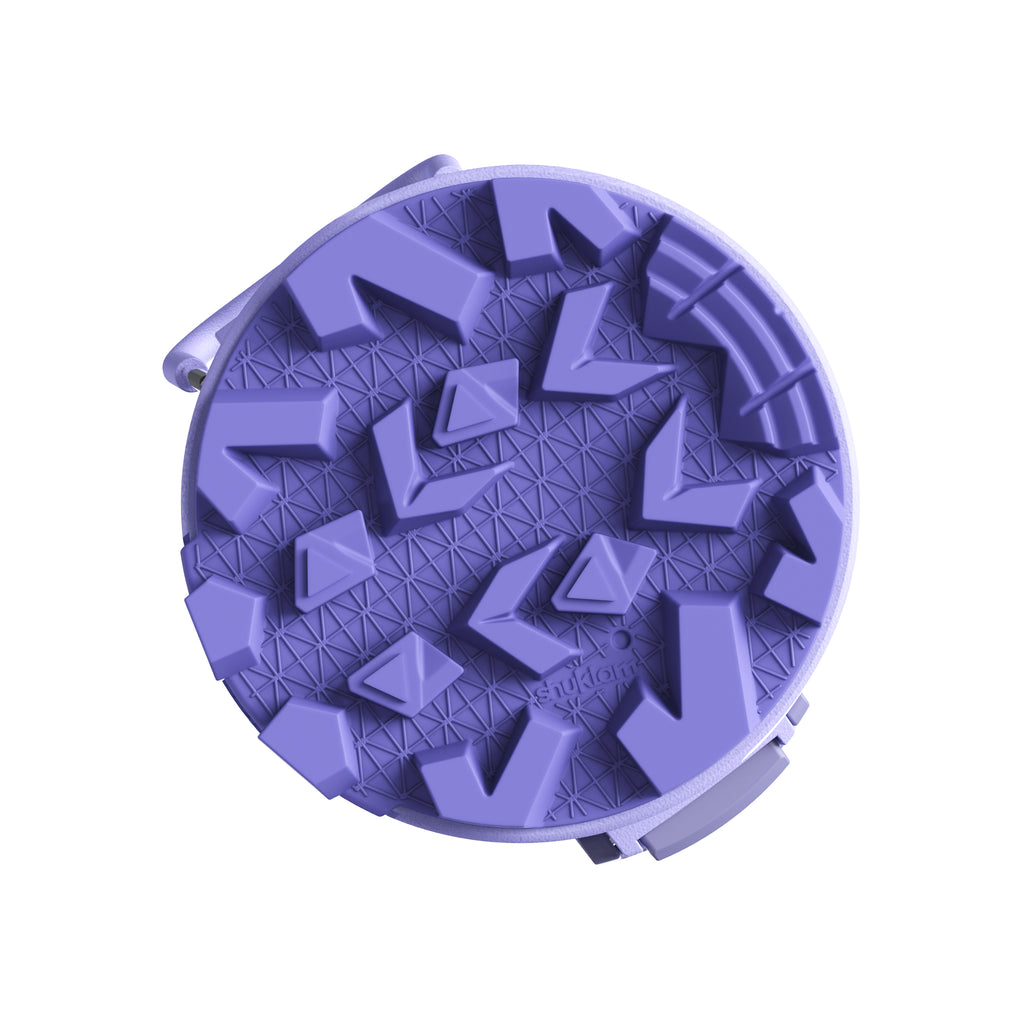 SHUKLAM Insulated Water Bottle 19.6OZ Purple Blue