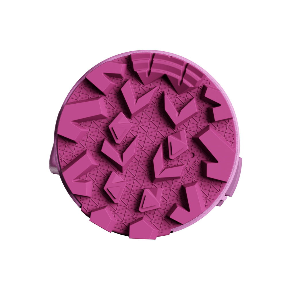 SHUKLAM Insulated Water Bottle 19.6OZ Purple PinK