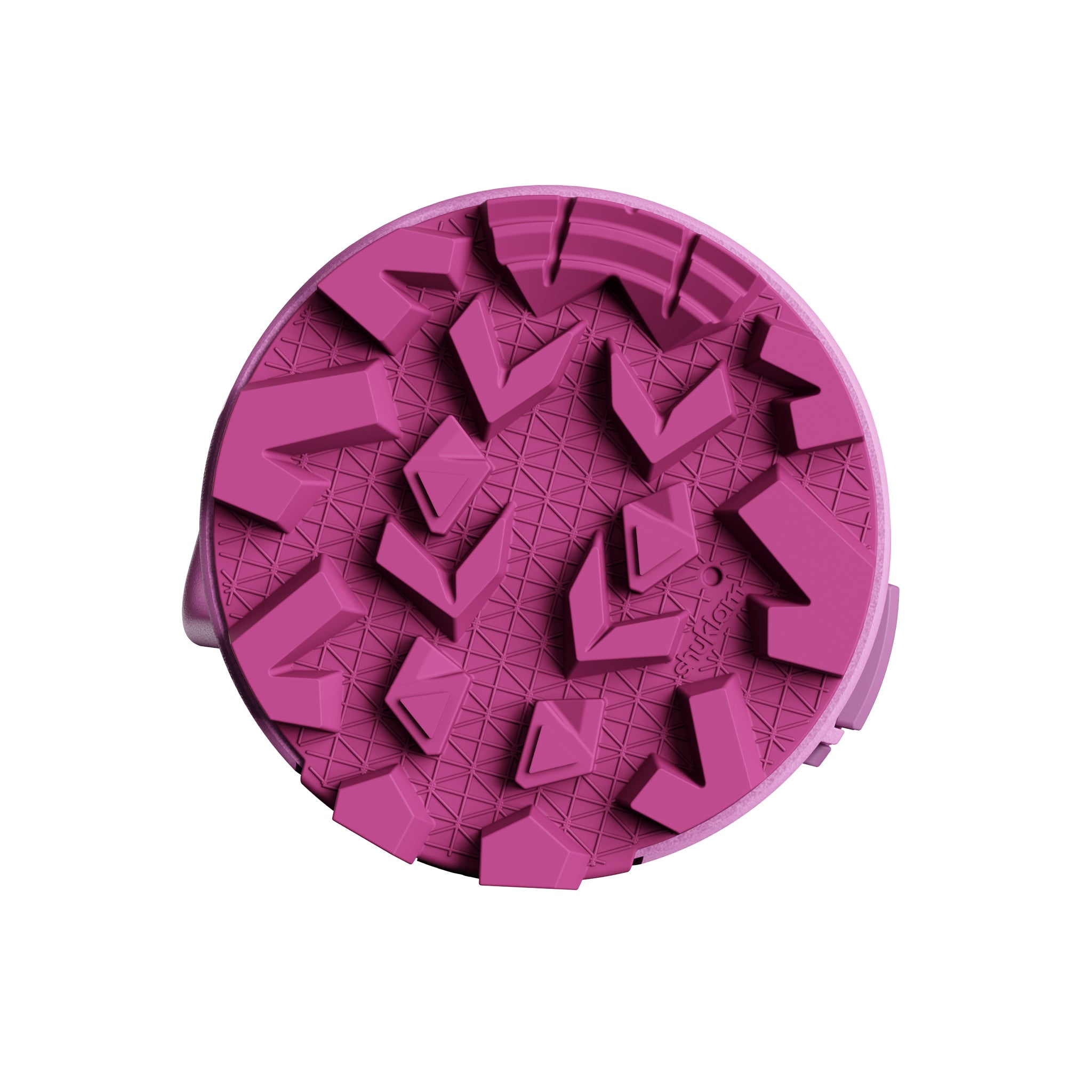 SHUKLAM Insulated Water Bottle 19.6OZ Purple PinK